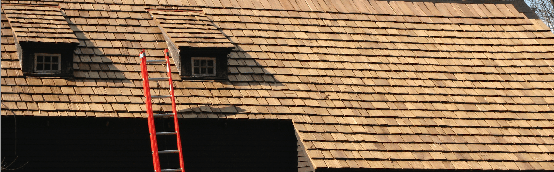 Bergen NJ cedar roof cleaning